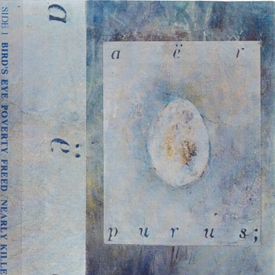 Aer Purus