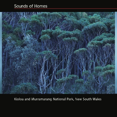 Sounds of Homes